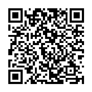 才隐约感知到陈长生的剑与传闻里确实有些不一样二维码生成