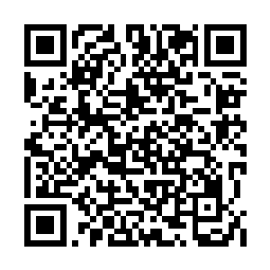 才隐隐听见空中有啪啪啪的旋翼击打空气声传来二维码生成