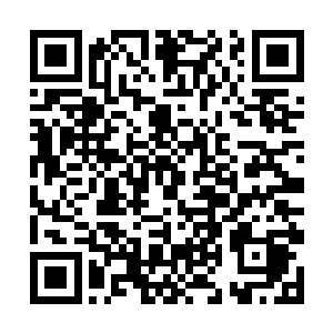 才骤然发现……这些看似被蓝色晶体能量同化的能量二维码生成