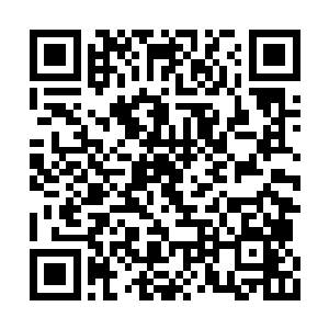 扎伊王子他…他带着一群人朝着王宫攻打过来了二维码生成