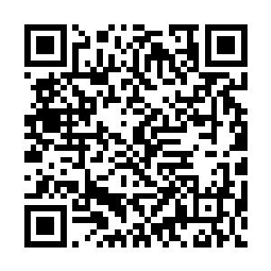 扎瓦赫里就成为世界上头号恐1怖主义分子的接班人二维码生成