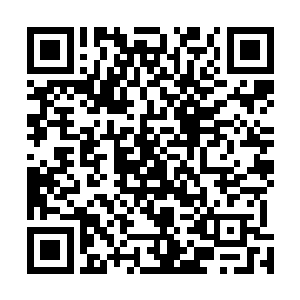 扑到叶璃身上的人长着一张跟对面的韩明晰一模一样的脸二维码生成
