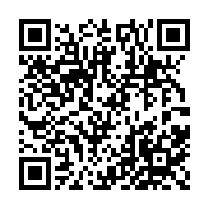 扑来的那一瞬间的压力和恐惧才真正深刻而真实二维码生成