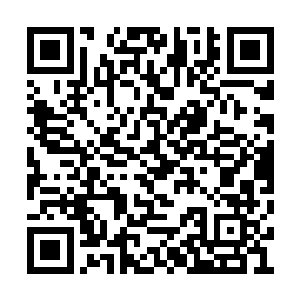 扑面而来的清风彷佛刹那间就把盛夏的暑气带走二维码生成