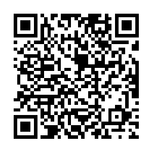 扒在车门上用身子挡住跃跃欲试想要下车的小肥啾们二维码生成