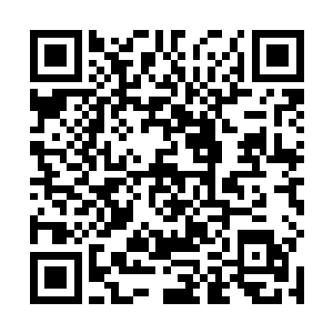 扒开眼前干枯的芦苇草瞅着冰面上绵延十里之多的帐篷二维码生成