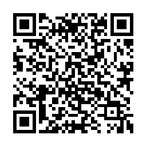 打了个车就往父亲工作的顺通物流公司赶了过去二维码生成