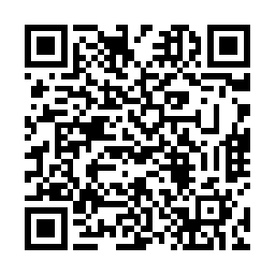 打了她之后也没多做思考就对海丝这个名字脱口而出了二维码生成