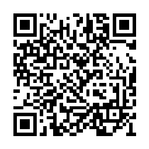 打听幽游天冥蛟族为何对一个人类男子俯首称臣二维码生成