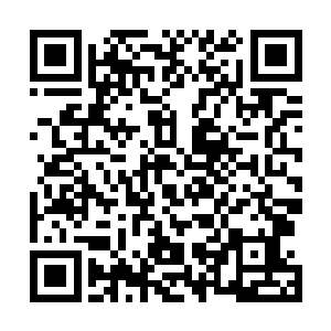打听的事情和他们说起梦幻禁制内的事情也都差不是很多二维码生成