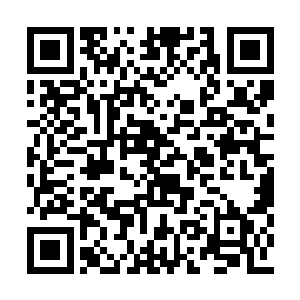 打开了个人属性面板看了看变身状态剩下的时间二维码生成