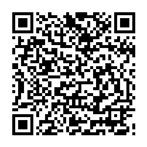 打开微信――添加朋友――公众号――搜suxiaonuan1――关注――查看历史消息二维码生成