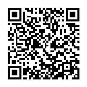 打开手机上的闪光灯当手电筒蹑手蹑脚地走到她身旁二维码生成