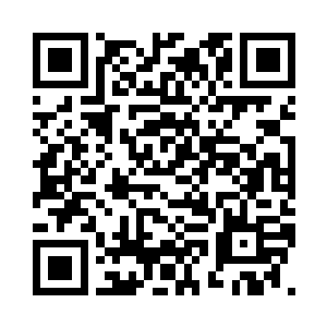 打开牛皮纸袋便翻阅起里面的文件来二维码生成