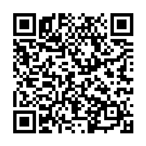 打开背包却又细心的把里面所有东西一件件拿出来二维码生成
