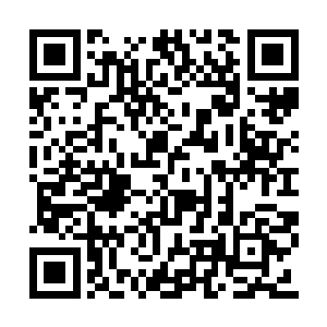 打探了消息回来的雪儿急匆匆跑进了洞天福地内二维码生成