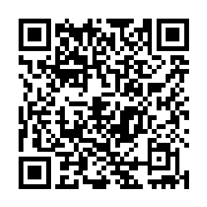打死打伤前面逃窜的家伙又不会拿到一分钱和其他利益二维码生成