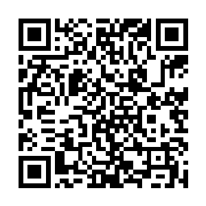 打的是龙国年轻一代所有人的脸……包括了魔门四杰二维码生成