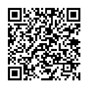 打眼一看龙傲天就不禁的对这个人产生了一丝好感二维码生成