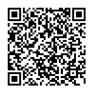 打着哆嗦皮肤被电的红黑如同烧伤的苗毅也从挂着的逆鳞枪上松开了手脚二维码生成