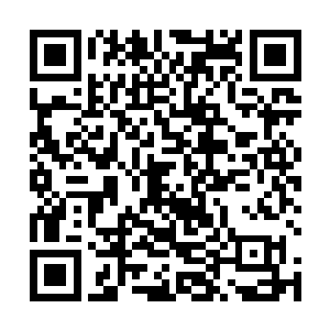 打着暗红色领带的杨辰托着一盘热腾腾的早餐走了进来二维码生成