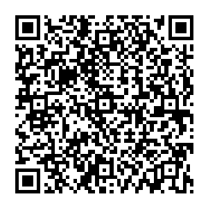 打着绝望的幌子恣意宣泄潜藏在内心的兽性……其实他们一直都是那般的披着人皮外衣的野兽吧二维码生成