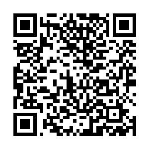 打算回去就找族里最擅长拷问的族鸟学习怎么拷问敌人二维码生成