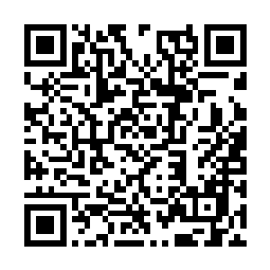打趣揶揄的话也时不时会从莱昂纳多的嘴里跳出来二维码生成