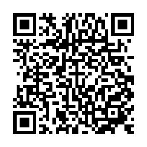 打这个电话来时不是就是告诉我你现在用的是大哥大给我打的二维码生成