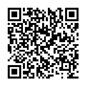 打量着这幢有些像是民国时期某家大宅院似的院落二维码生成