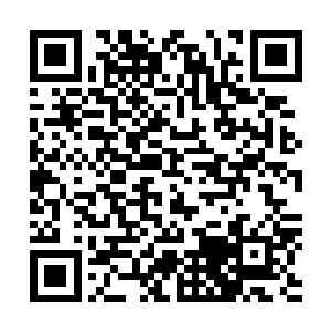 扔了又可惜……也有可能是家里这几天下人们都趁机躲懒了二维码生成