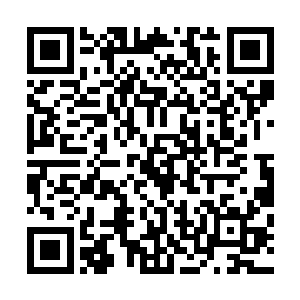 扔了烟头站起来的鬣狗也站在车斗高处加入到这样的点杀中二维码生成