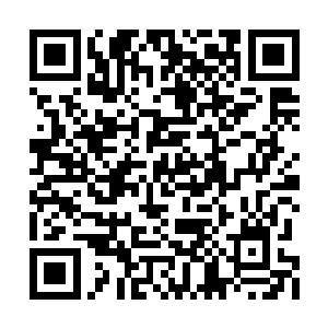 托塔男子身边另外一个背着长剑的男子拉住那人二维码生成