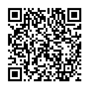 托马斯立刻就想起了雨果――这一切的改变其实都是来自于雨果二维码生成