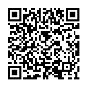 扛着时光梦魇兽的梦魇族太始境护卫忽然叛变了二维码生成