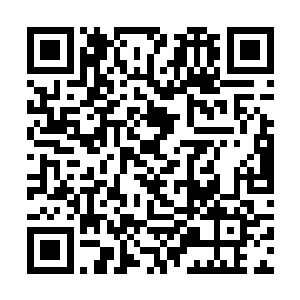 执信的外表并不像当下流行的机甲那样浑身光芒冷冽二维码生成