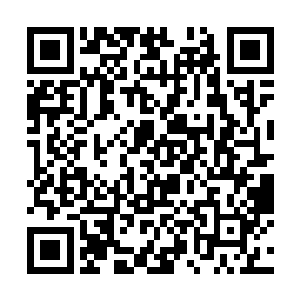 执天阁的副宗主云龙神君在一旁笑眯眯阴测测的说道二维码生成