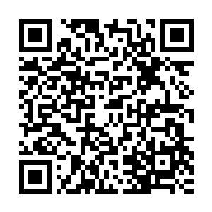 执着而痴情……这样的执着让他进入轮回中也保留了前世的记忆二维码生成