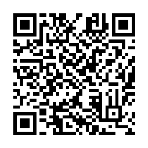 执行不同的任务你们的任务就是将最宝贵的东西带出去二维码生成