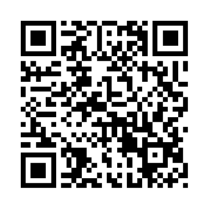 扫了一眼被唐玥丢弃在地上的枝干二维码生成