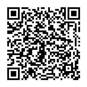 扫视了一眼九玄玲珑宝塔底层的三十六颗无比圆润的九转仙丹之后二维码生成