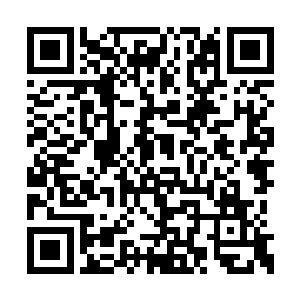 扬着手里的剁骨刀和杀猪刀就朝赵炳武扑了过来二维码生成