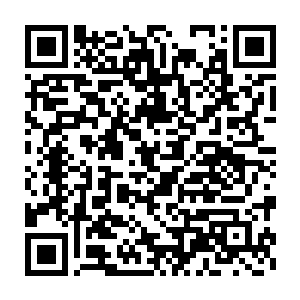 扬睢甚至还可能走到这些年来雨部落任何一个巫都无法达到的高度二维码生成