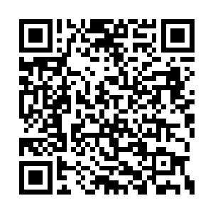 扬负和白残谱也同样没有想到会在这里碰到秦洛二维码生成