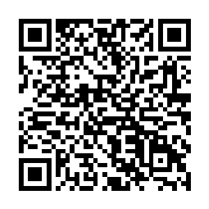 扬负带着一群人过来告诉他已经和王九九订婚的事实二维码生成