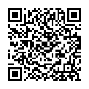 扬起自己那张在柳逸尘面前才会妩媚妖艳的脸庞二维码生成