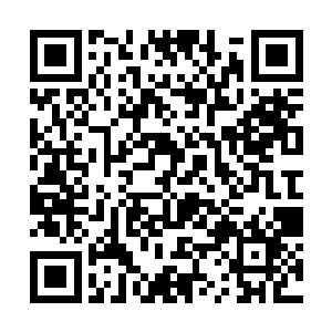 扭头便看到了女扮男装的包子小丫鬟画儿和妖女若男二维码生成