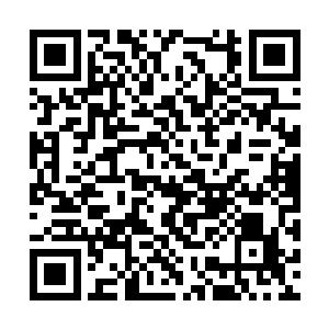 扭头看了一眼乖巧的趴在锦榻上的九尾狐仙徐吉樱二维码生成