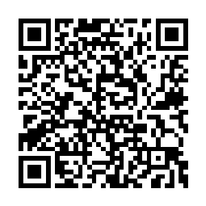 扭头看向方才少主子所指的念念他们逃走的方向二维码生成