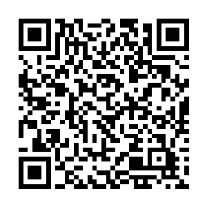 扭头看着布洛林把处在吊机状态下的小飞机靠近海滩二维码生成